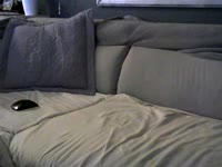 je suis très sensuelle sexy, pétillante et j